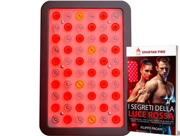 Spartan Fire spartan health