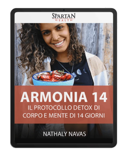 armonia 14 armonia 14