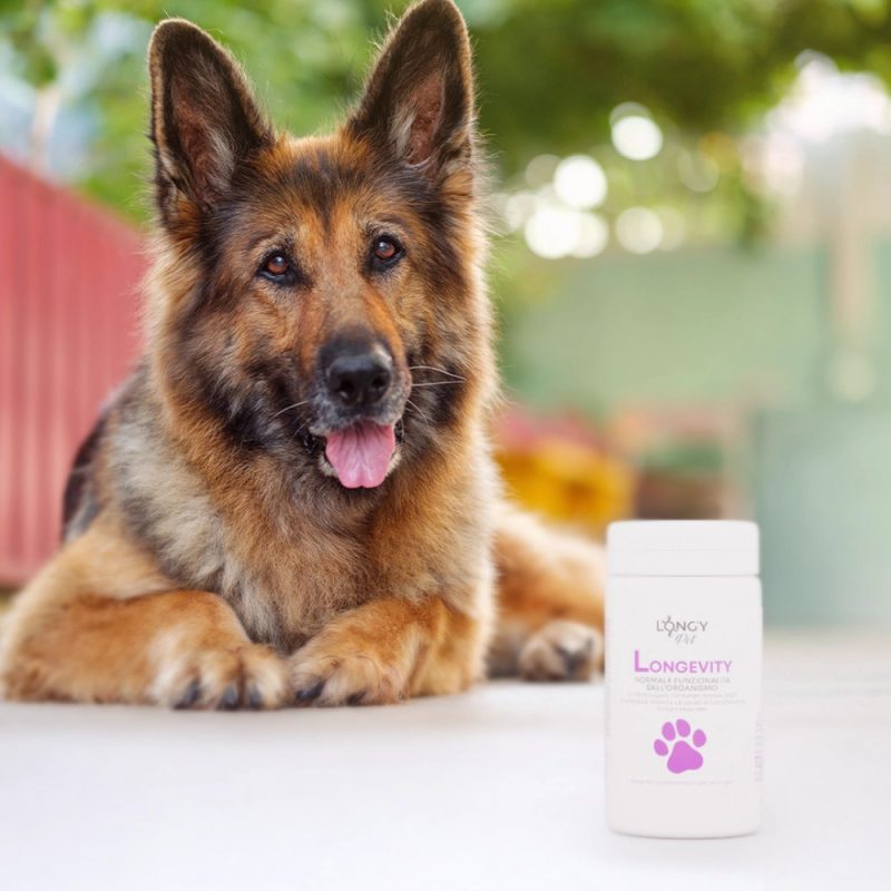 Longevity PET integratore Longy