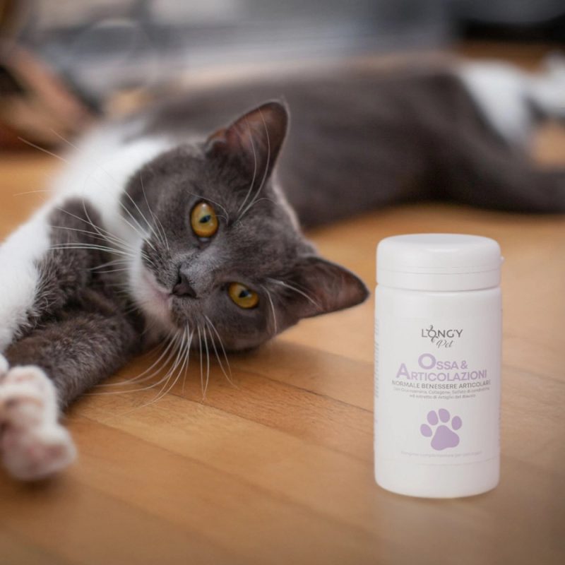 Ossa & Articolazioni PET integratore Longy